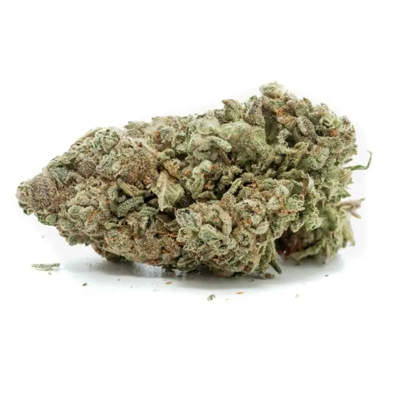 White-Buffalo-Strain White Buffalo - Image 1