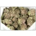 Pink-Gas-Marijuana-Buds