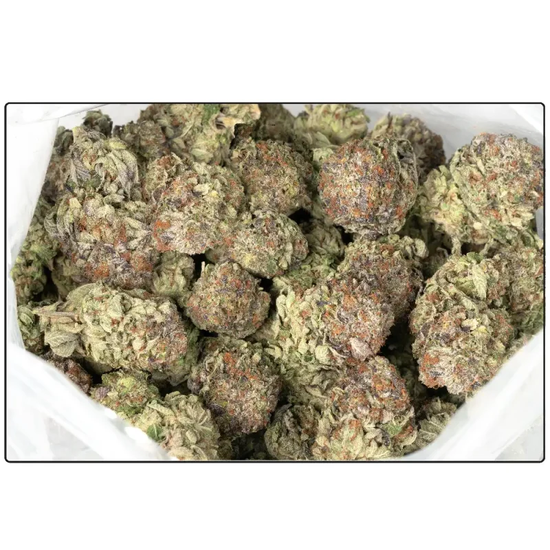 Pink-Gas-Marijuana-Buds