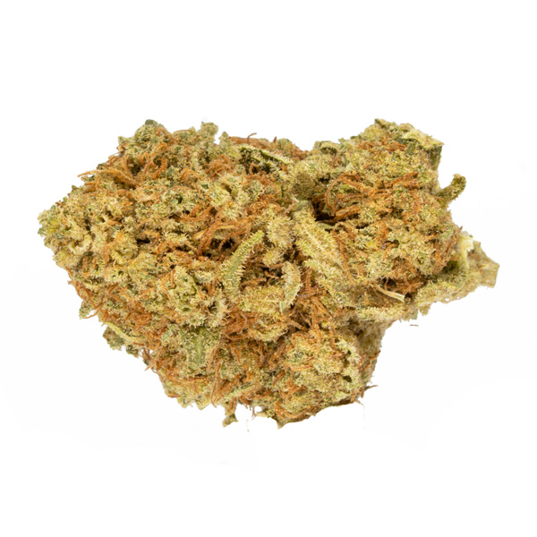 Mango-Dream Mango Dream