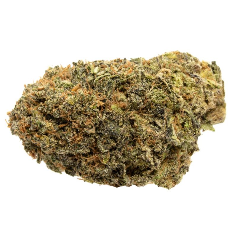 Gelato-33-Strain Gelato-33-Strain