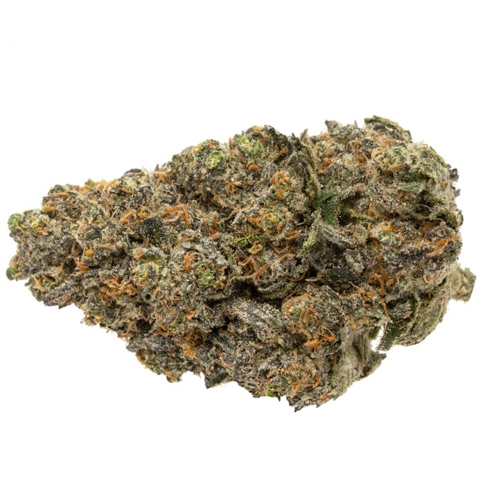 Purple-Tangie Purple-Tangie