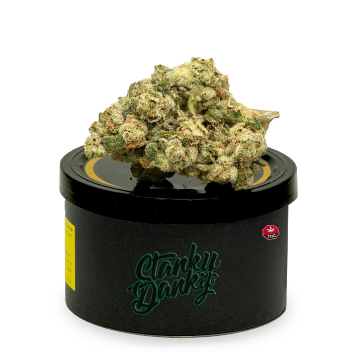 Cotton-Candy-Kush-Strain Cotton candy weed on top of a black tuna can