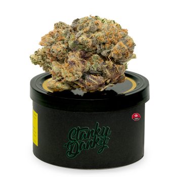 Diablo OG marijuana bud on top of a black tuna can