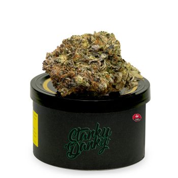 Pink Rozay marijuana bud on top of a black tuna can