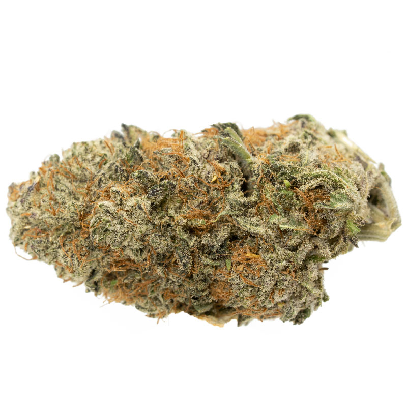 Sour-Jack-Strain Sour-Jack-Strain