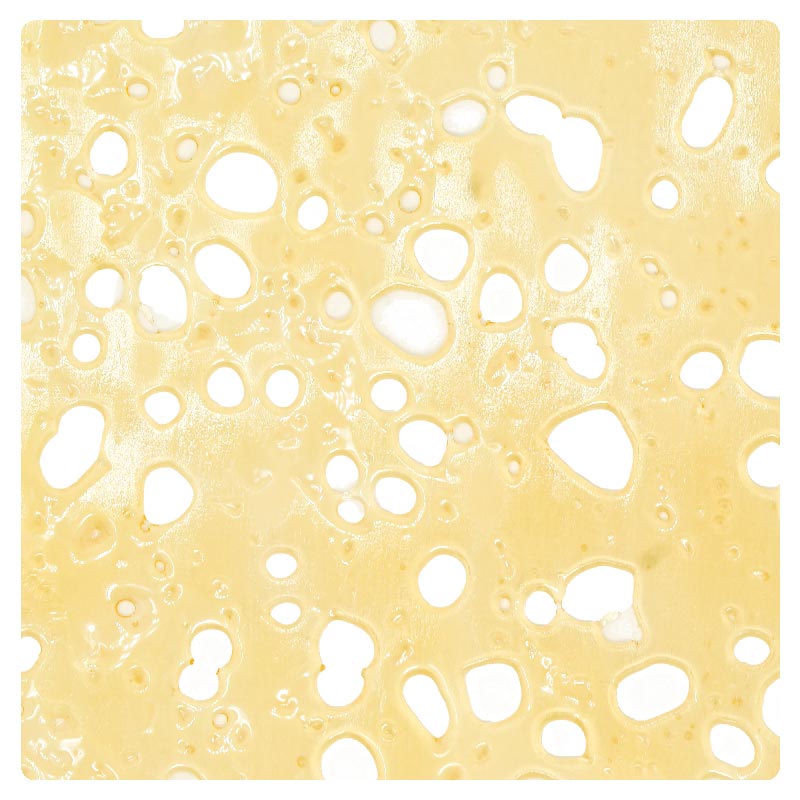 White-Rhino-Shatter White-Rhino-Shatter