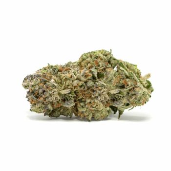 4-star-general strain