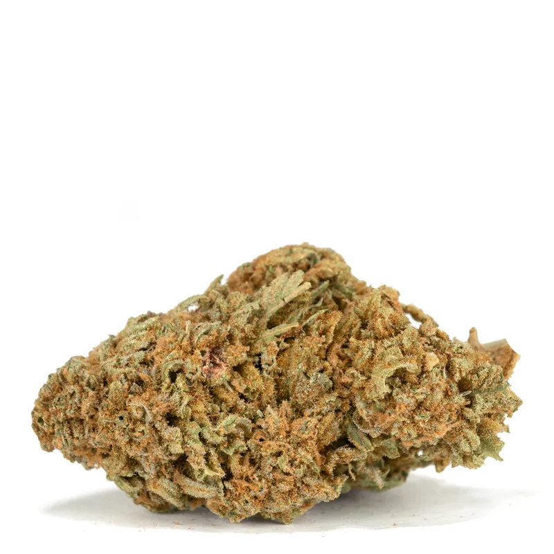 Citrus-Orchard Citrus-Orchard strain