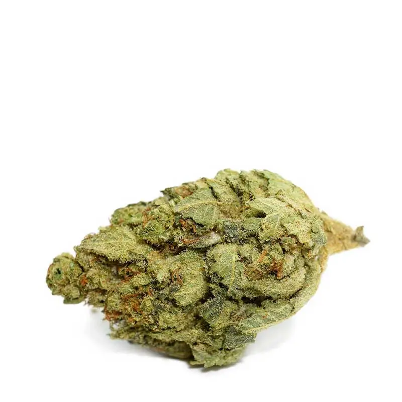 White-widow White Widow Strain