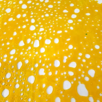 Gary-Payton-Shatter-close-up