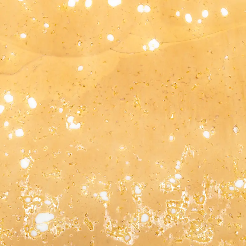 Godzilla-Glue-shatter Godzilla-Glue-shatter