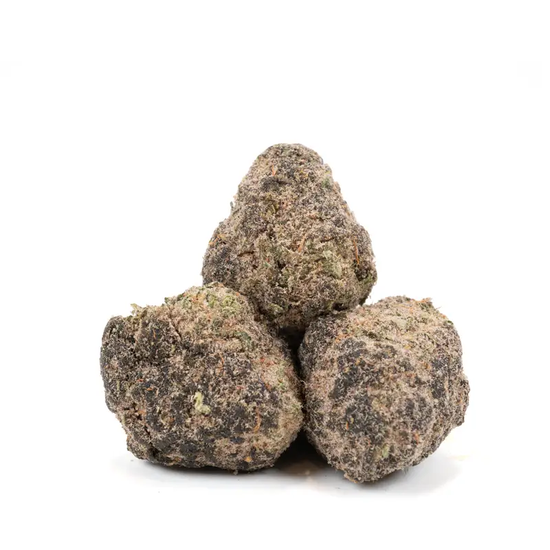gary-payton-moonrocks gary-payton-moonrocks