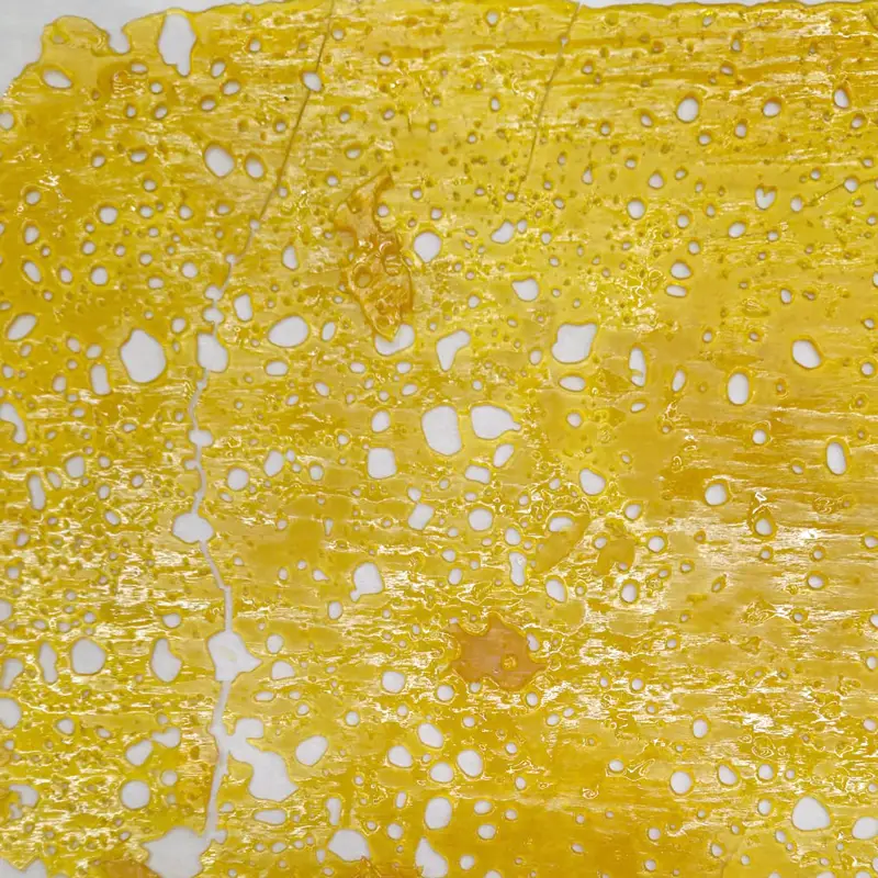 mimosa-shatter mimosa-shatter