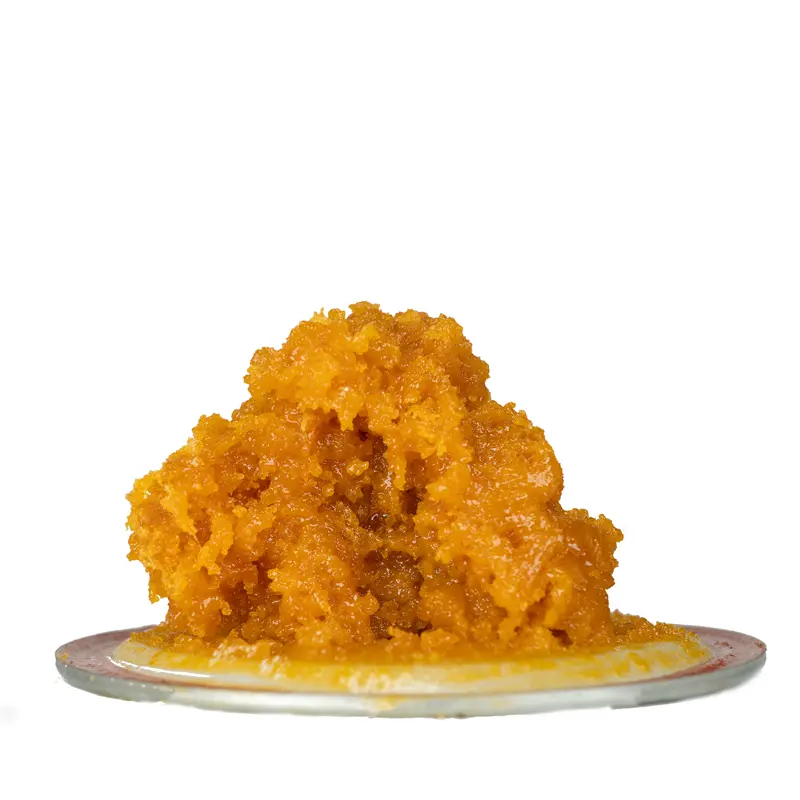 nysd-lr-on-lid nysd-lr-on-lid