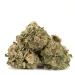 Hashplant Haze - Image 2
