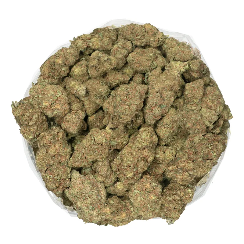 Jack-Fruit bowl full jackfruit strain buds