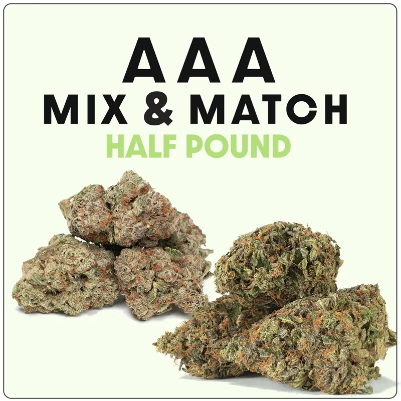 AAA--HALF-POUND-MIX-ANDMATCH 1/2 Pound AAA Mix & Match - Image 1