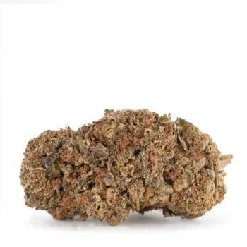 Afghan-Kush-detailed-single-bud