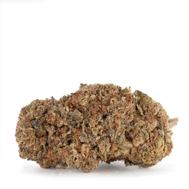 Afghan-Kush-detailed-single-bud Afghan-Kush-detailed-single-bud