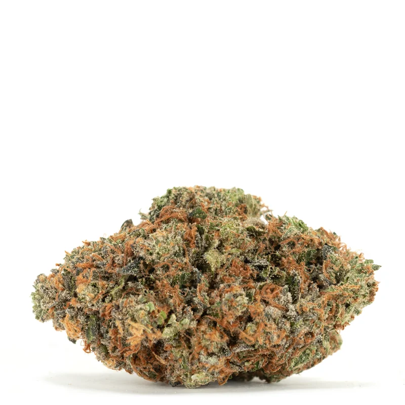 Astro-Pink-single-bud-w-shadow Astro-Pink-single-bud-w-shadow