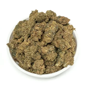 Big round magic melon buds