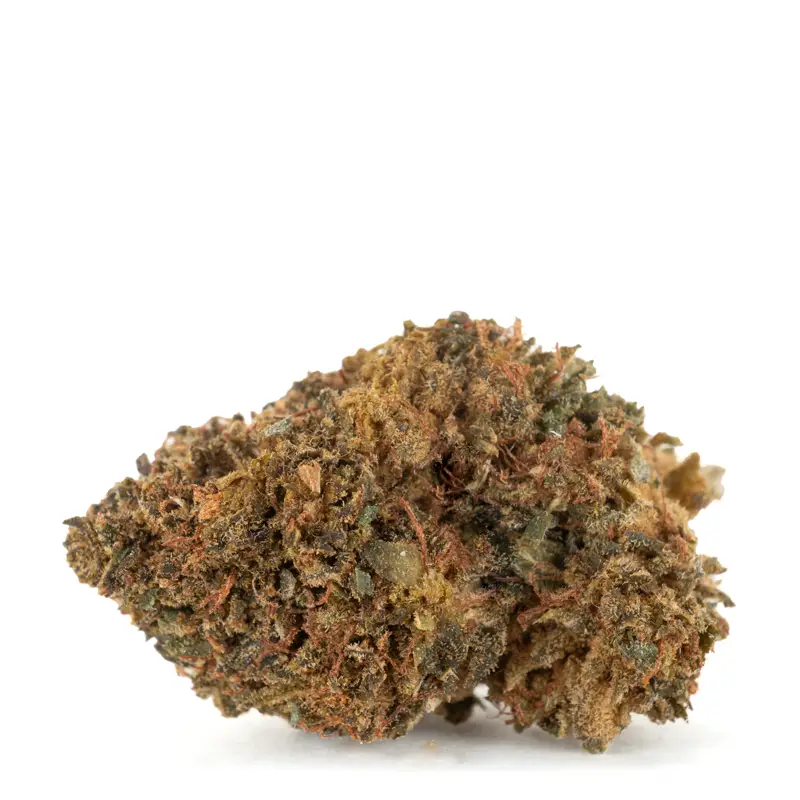 Black-Dominia-trichome-covered-bud Black-Dominia-trichome-covered-bud