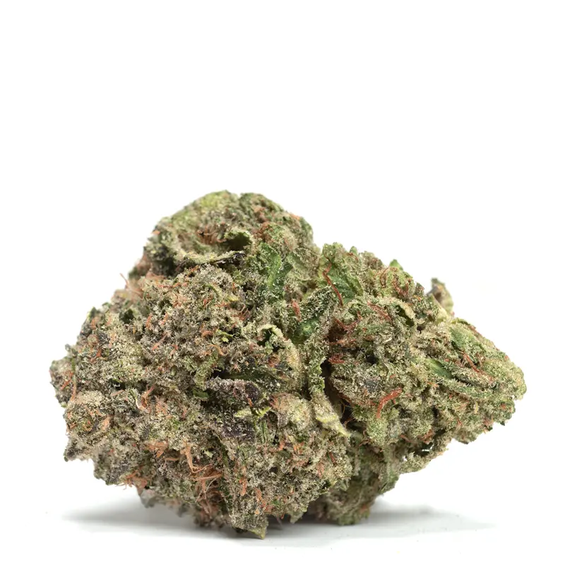 Bruce-Banner Bruce-Banner Weed strian