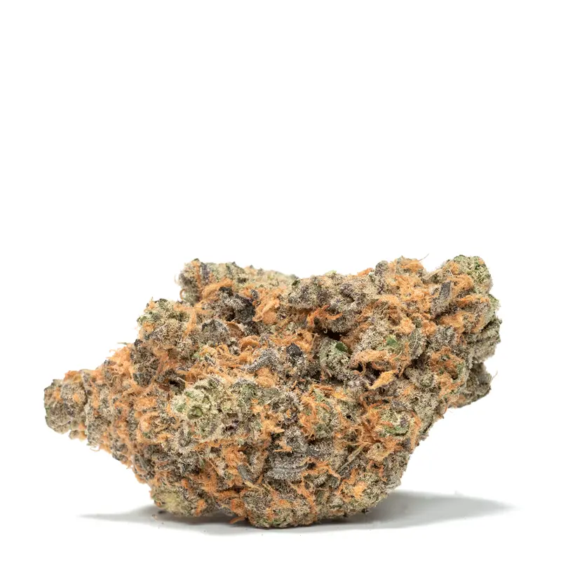 Clementine Clementine Strain