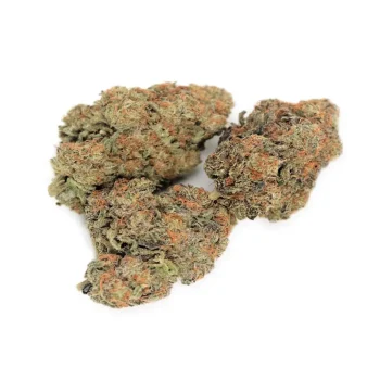 Close-up view of Wedding Cake Strain buds