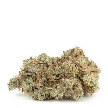 Donkey Butter strain