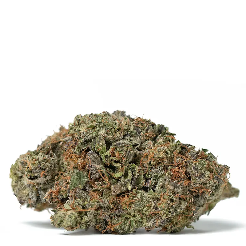 El-Chapo-Strain el chapo strain