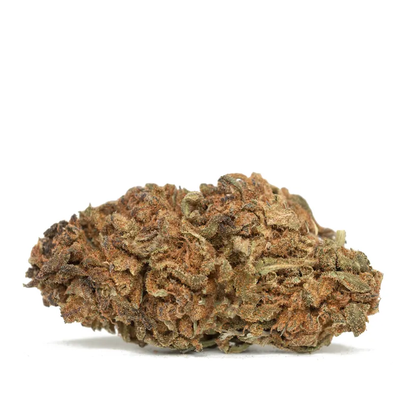 Forbidden-Fruit strain close up sticky trichome covered bud Forbidden-Fruit strain close up sticky trichome covered bud