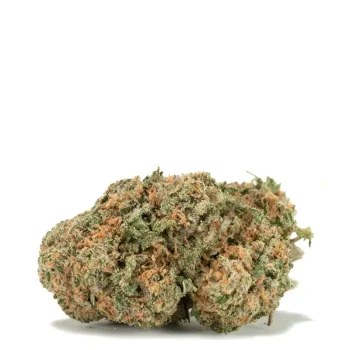 Gary-Payton-Strain-WD