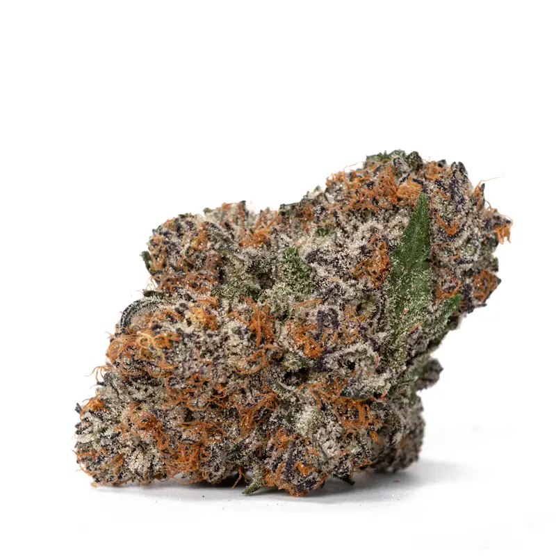 Gelato Cake strain rich colors and frosty texture Gelato Cake strain rich colors and frosty texture