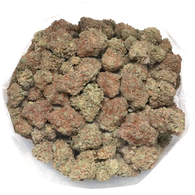 Goji-Oj-1-pound-macro-photo largue cluster of goji og weed