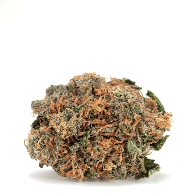 Grease-Monkey Grease-Monkey