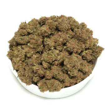 Green-Congo-Strain bud in a bowl