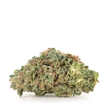 Huckleberry strain freshly trimmed bud with visible crystal trichomes