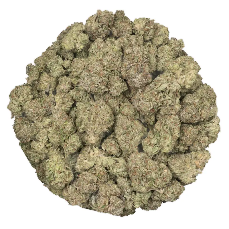 King-Bubba-weed-strain-buds-macro-closeup King-Bubba-weed-strain-buds-macro-closeup