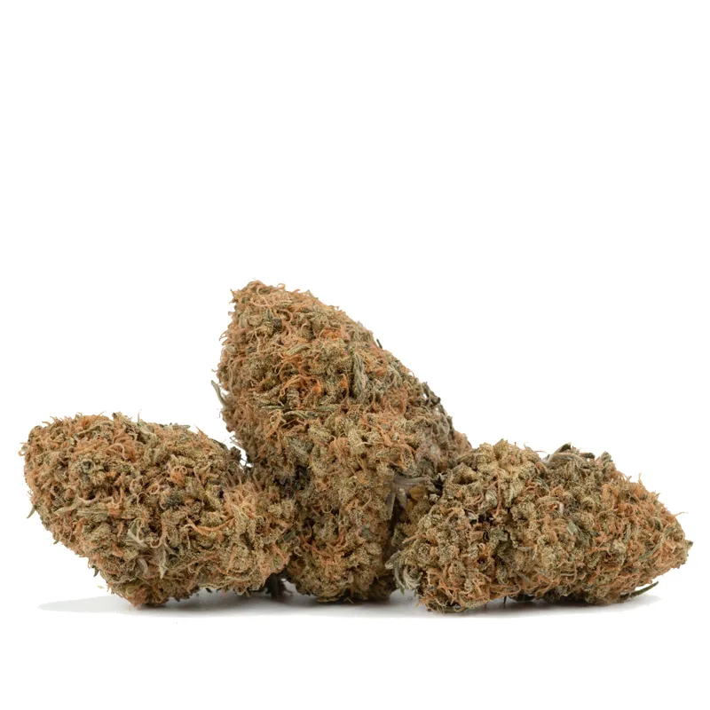 King-sherb-strain King-sherb-strain