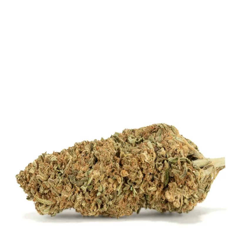 Lemon-margy Lemon-margy