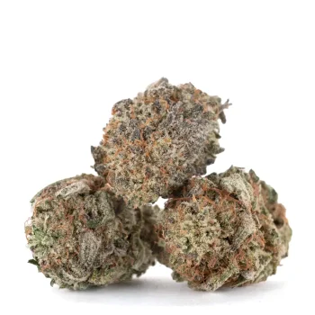 Mimosa-strain-3-buds