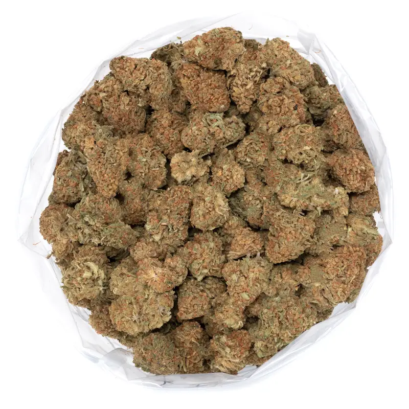 Motor breath Motor breath