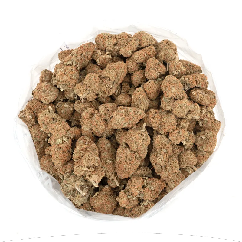 Orange-Crush Orange-Crush strain