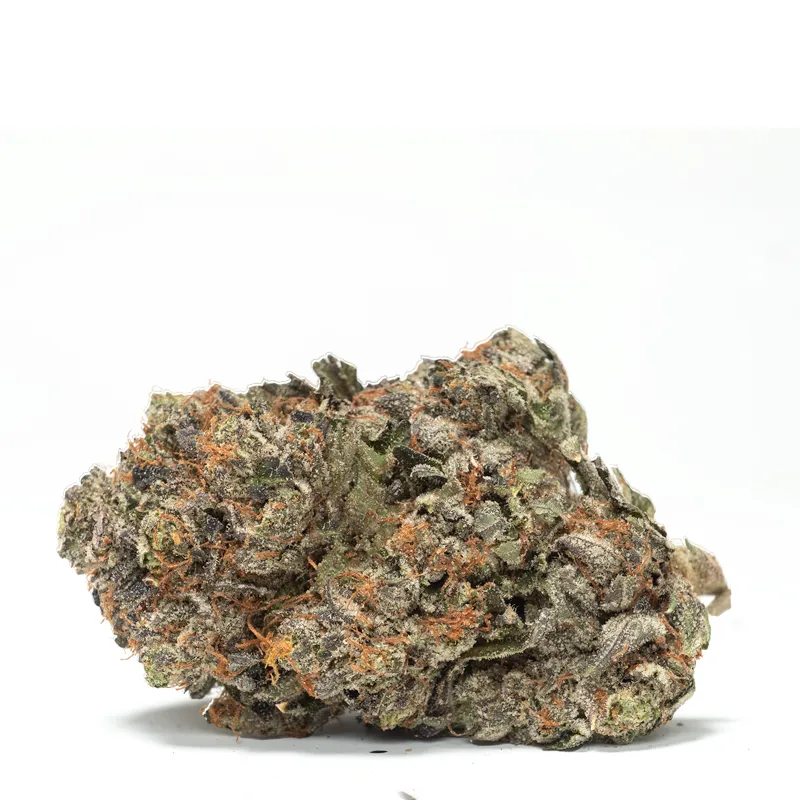 Pink-Anxiety Pink Anxiety