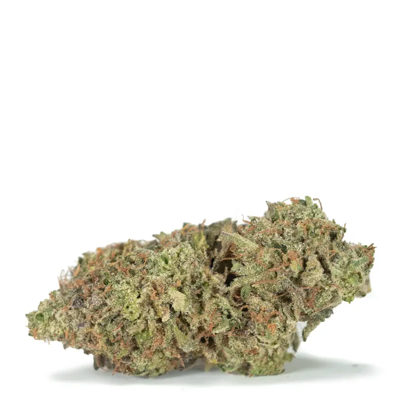 Pink-Death Pink-Death strain