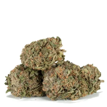 Platinum-Rockstar-strain-2