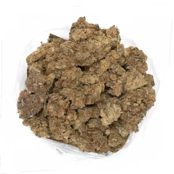 Power-plant-trichome-covered-marijuana-buds