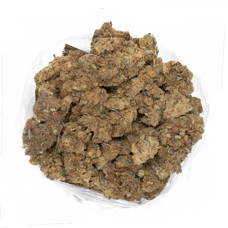 Power-plant-trichome-covered-marijuana-buds Power-plant-trichome-covered-marijuana-buds